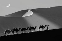 442 - DESERT 07 - RYU SHIN WOO - korea, republic of <div